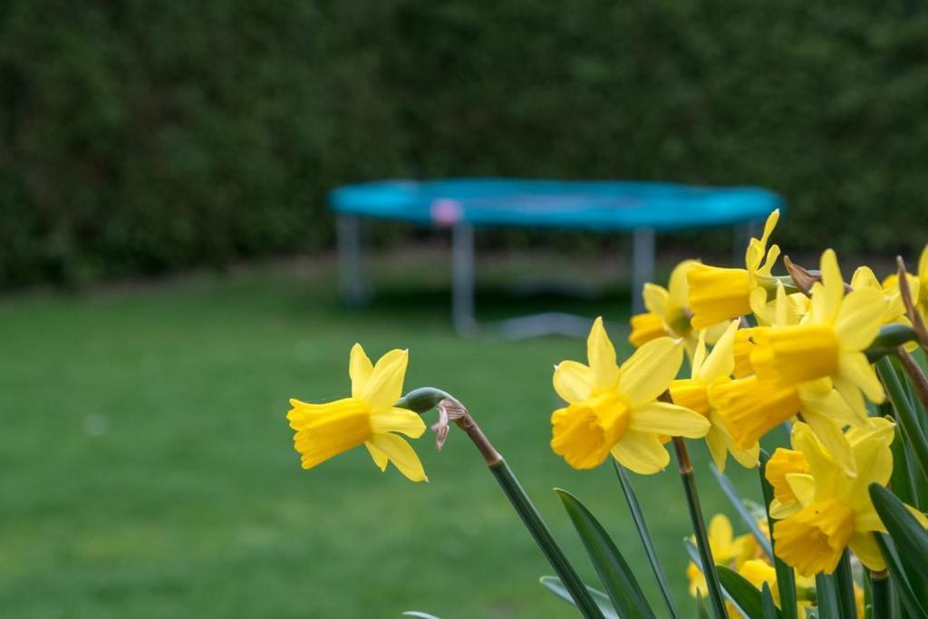 Groepsaccommodatie Kom In De Bedstee Sprookje Winterswijk Buitenkant foto