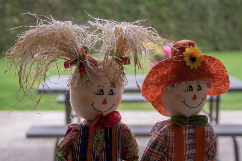 Groepsaccommodatie Kom In De Bedstee Sprookje Winterswijk Buitenkant foto